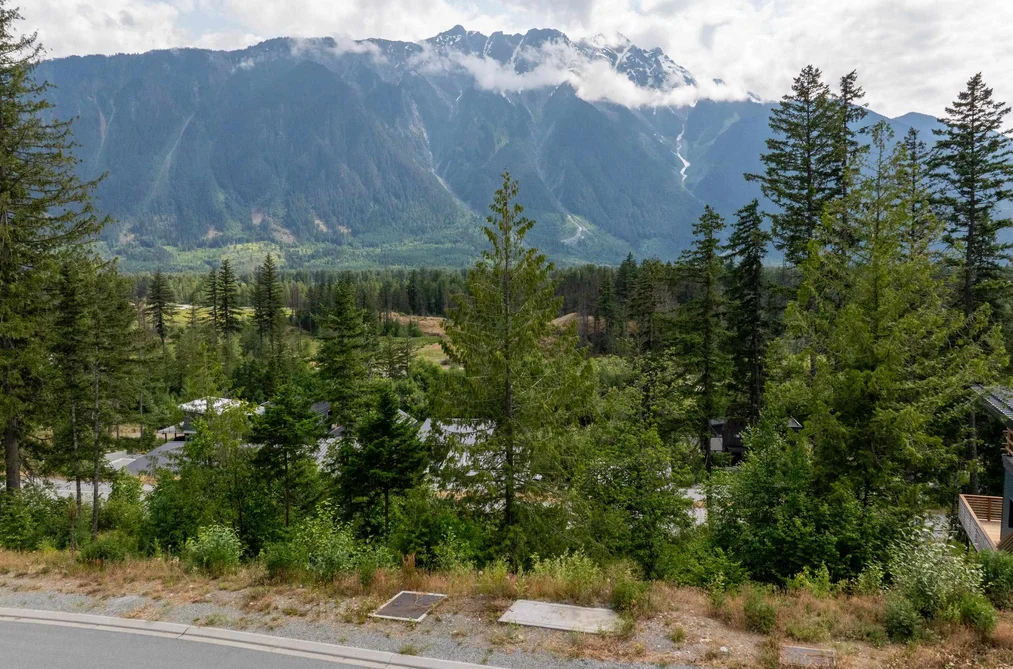7661 CERULEAN DRIVE, Pemberton BC V0N 2L3, Pemberton BC — Land for Sale - Photo 3