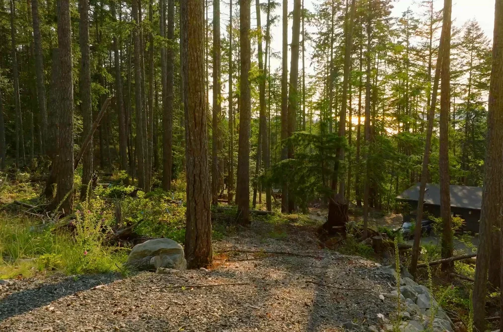 786 HAYES ROAD, Bowen Island BC V0N 1G2, Bowen Island BC — Land for Sale - Photo 2