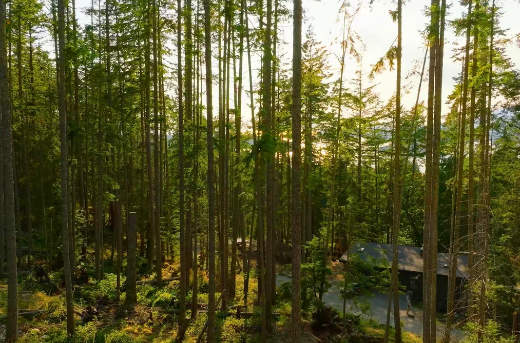 786 HAYES ROAD, Bowen Island BC V0N 1G2, Bowen Island BC — Land for Sale - Photo 6