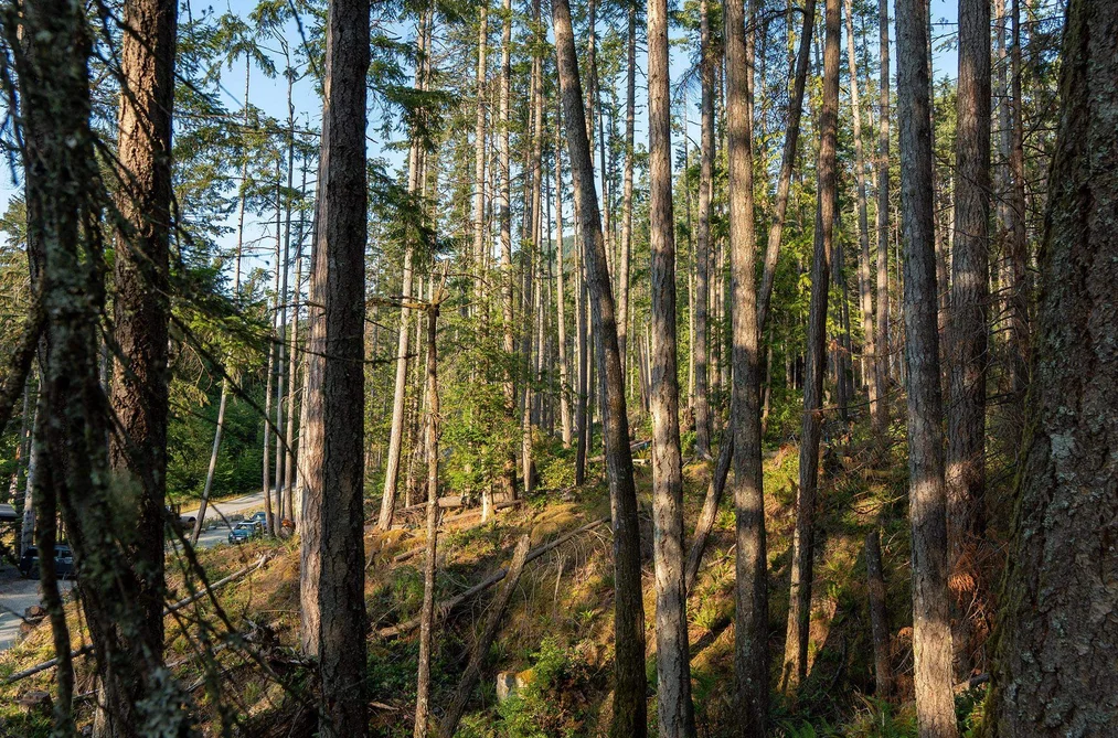 786 HAYES ROAD, Bowen Island BC V0N 1G2, Bowen Island BC — Land for Sale - Photo 7