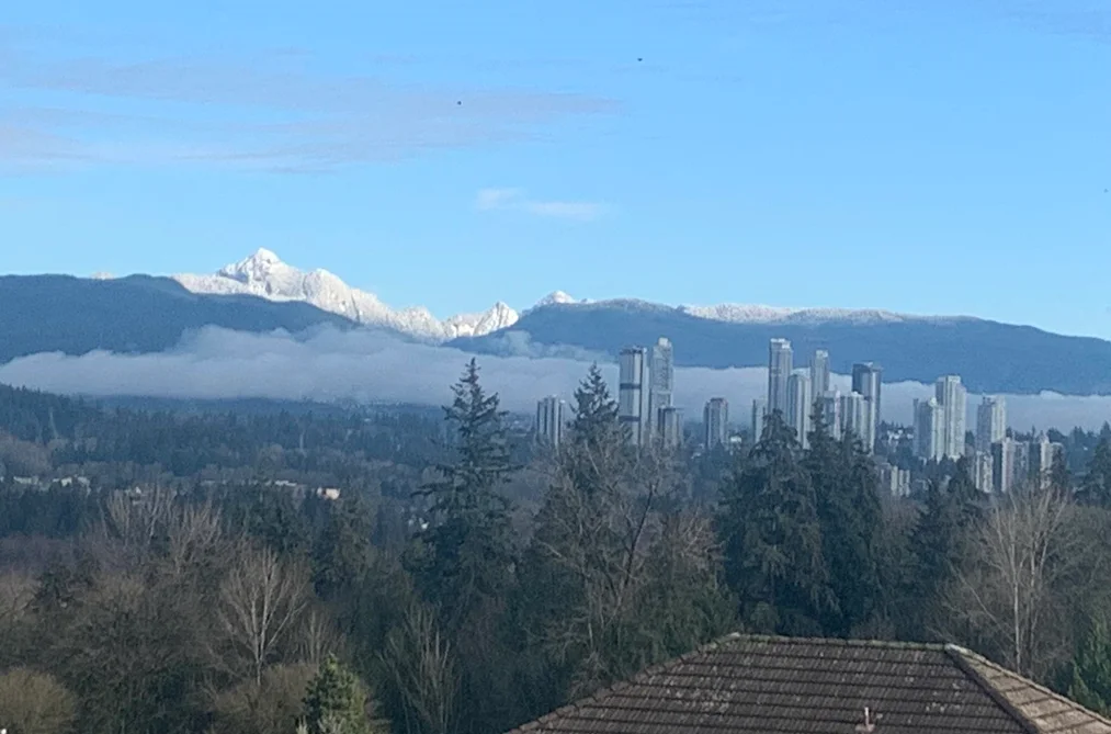 7995 BERKLEY STREET, Burnaby BC V5E 4G5, Burnaby BC — Residential for Sale — Photo 40 of 40