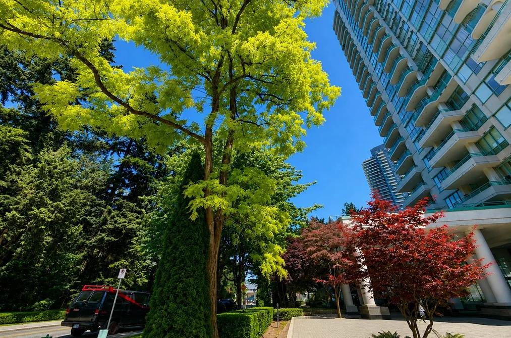 7D 6128 PATTERSON AVENUE, Burnaby BC V5H 4P3, Burnaby BC — Residential for Sale — Photo 13 of 21