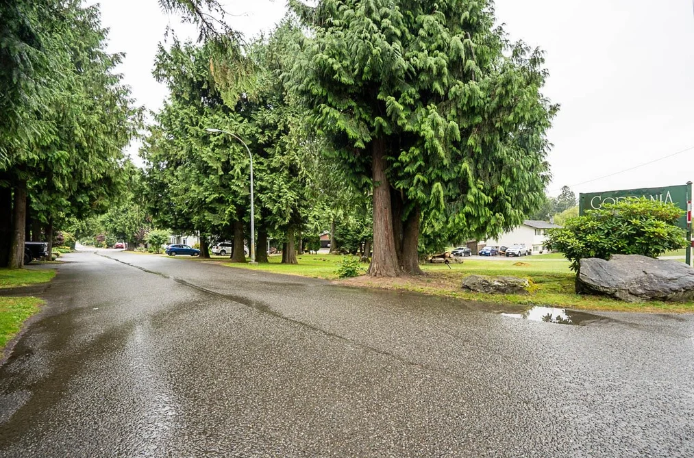 8 52324 YALE ROAD, Rosedale, BC — Residential for Sale — Photo 5 of 39