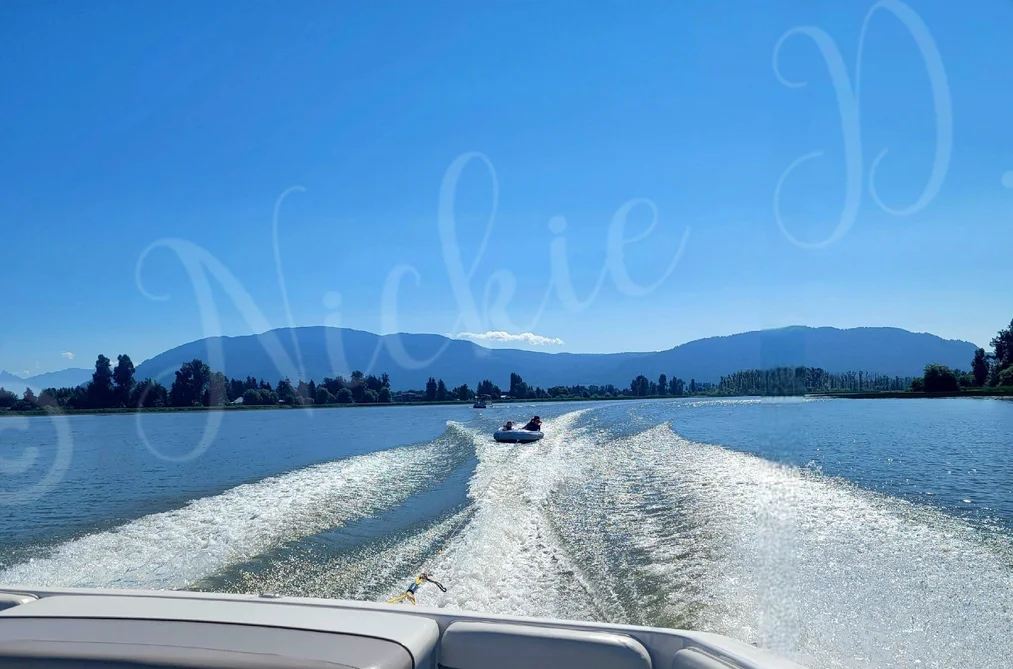 80 8400 SHOOK ROAD, Mission BC V2V 7L5, Mission BC — Land for Sale - Photo 4