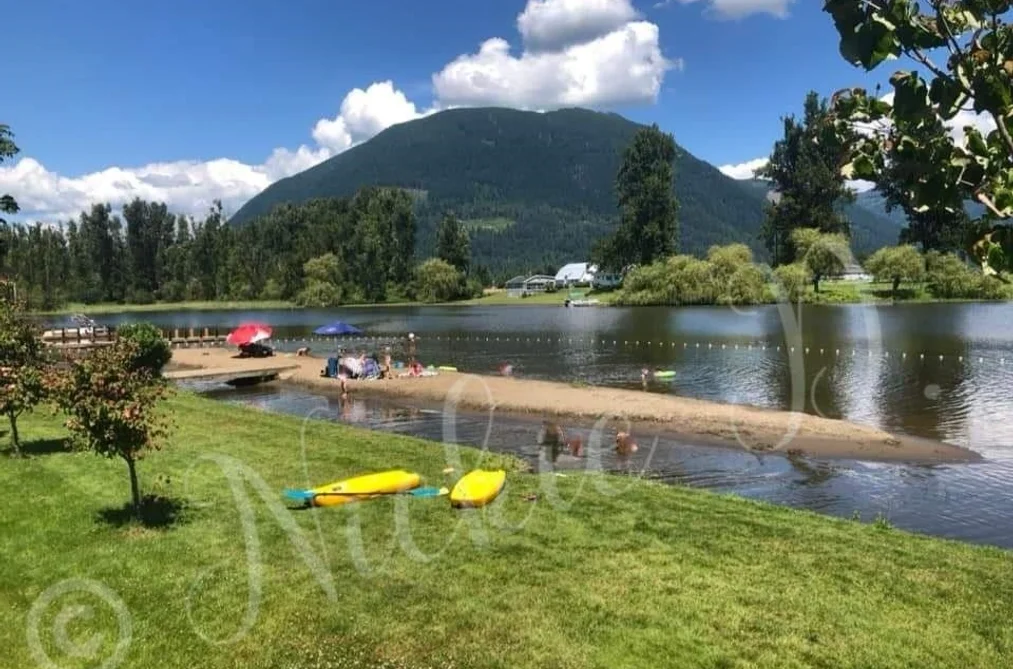 80 8400 SHOOK ROAD, Mission BC V2V 7L5, Mission BC — Land for Sale - Photo 5