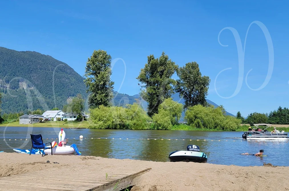 80 8400 SHOOK ROAD, Mission BC V2V 7L5, Mission BC — Land for Sale - Photo 6