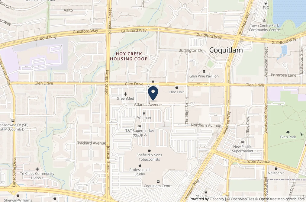 2955 Atlantic Ave Unit 806, Port Coquitlam, BC - MLS: R3178378