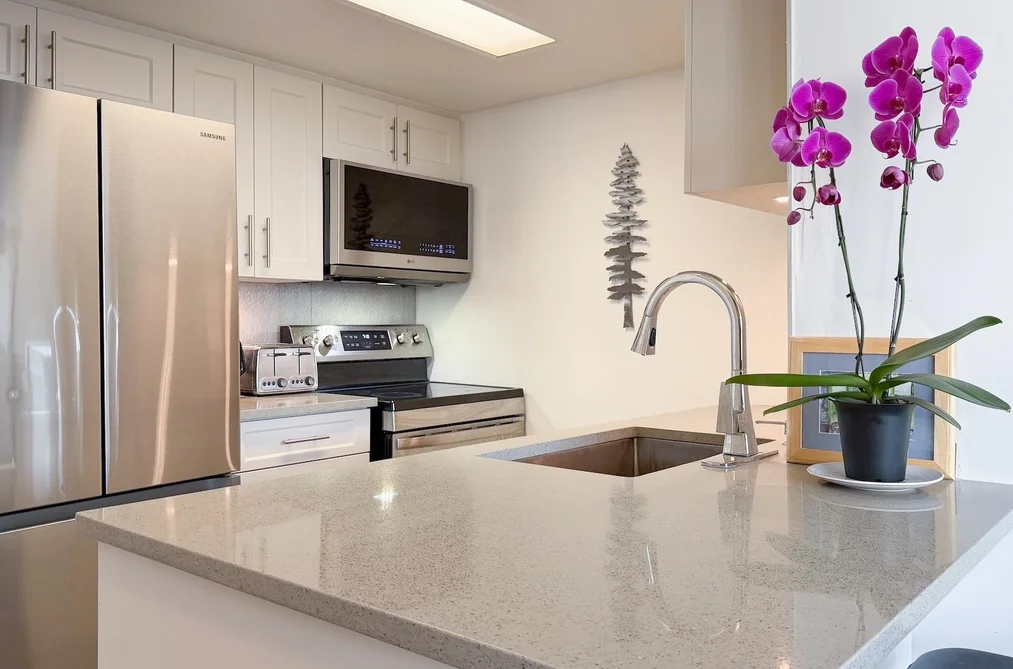 807 838 AGNES STREET, New Westminster BC V3M 6R3, New Westminster BC — Residential for Sale - Photo 5