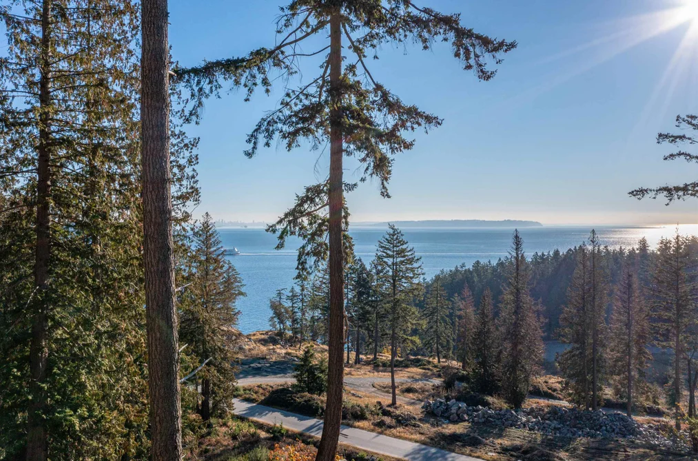 814 MCINTOSH LANE, Bowen Island BC V0N 1G2, Bowen Island BC — Land for Sale - Photo 2