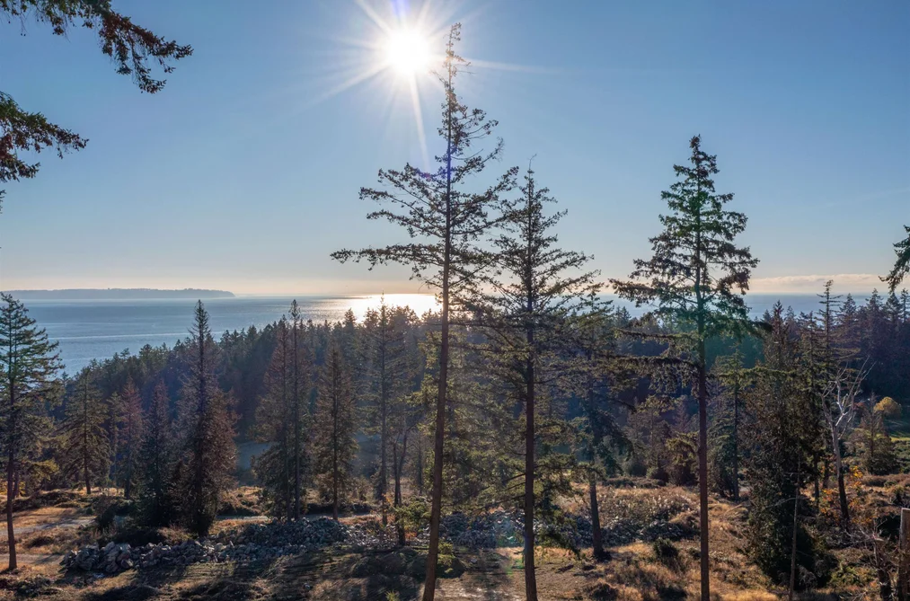 814 MCINTOSH LANE, Bowen Island BC V0N 1G2, Bowen Island BC — Land for Sale - Photo 6