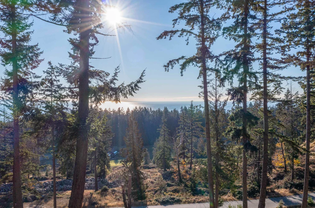 818 MCINTOSH LANE, Bowen Island BC V0N 1G2, Bowen Island BC — Land for Sale - Photo 5