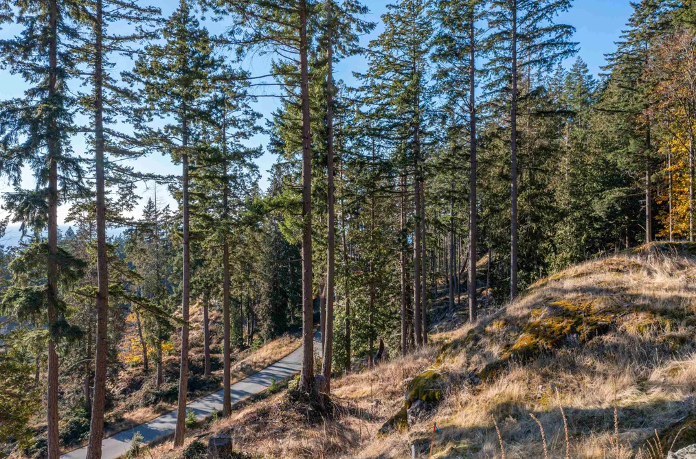 818 MCINTOSH LANE, Bowen Island BC V0N 1G2, Bowen Island BC — Land for Sale - Photo 6