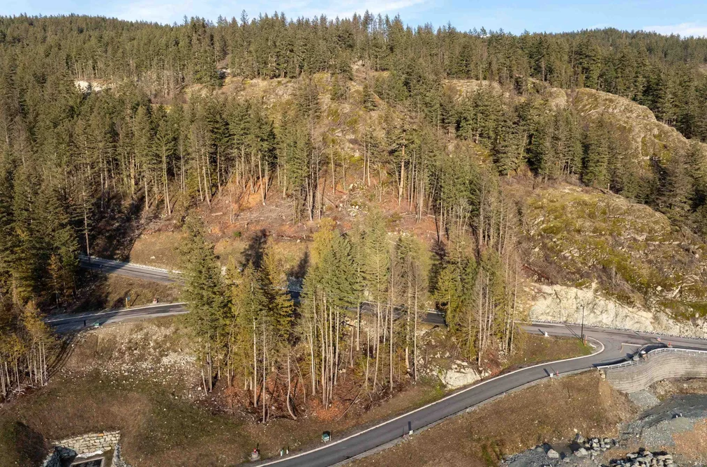 8200 MERLOT PEAK DRIVE, Pemberton BC V0N 2L0, Pemberton BC — Land for Sale - Photo 2