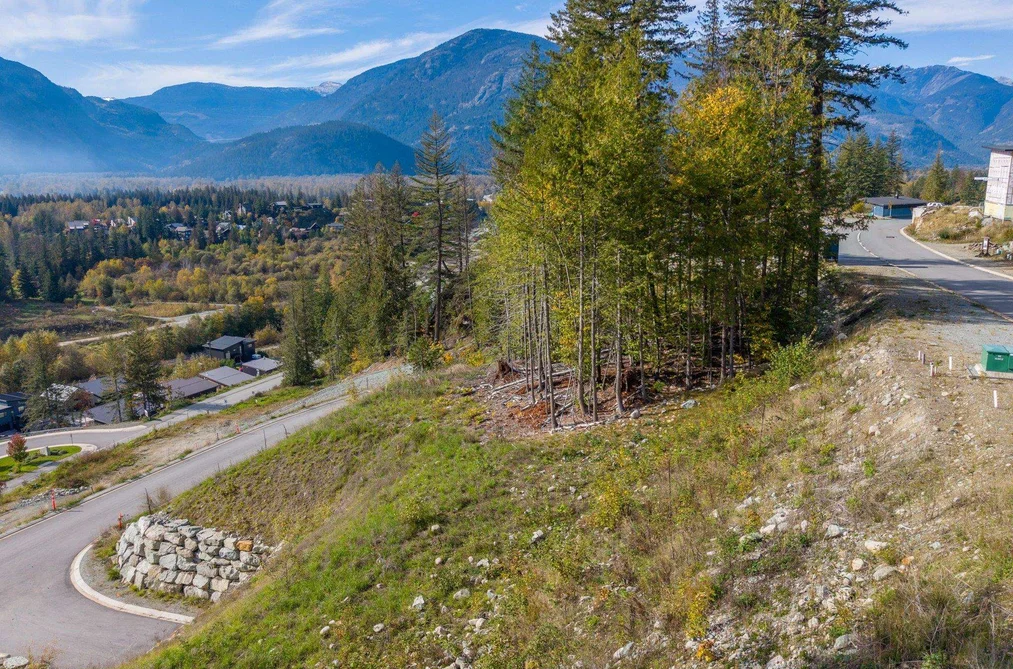 8204 MERLOT PEAK DRIVE, Pemberton BC V0N 2L3, Pemberton BC — Land for Sale - Photo 4