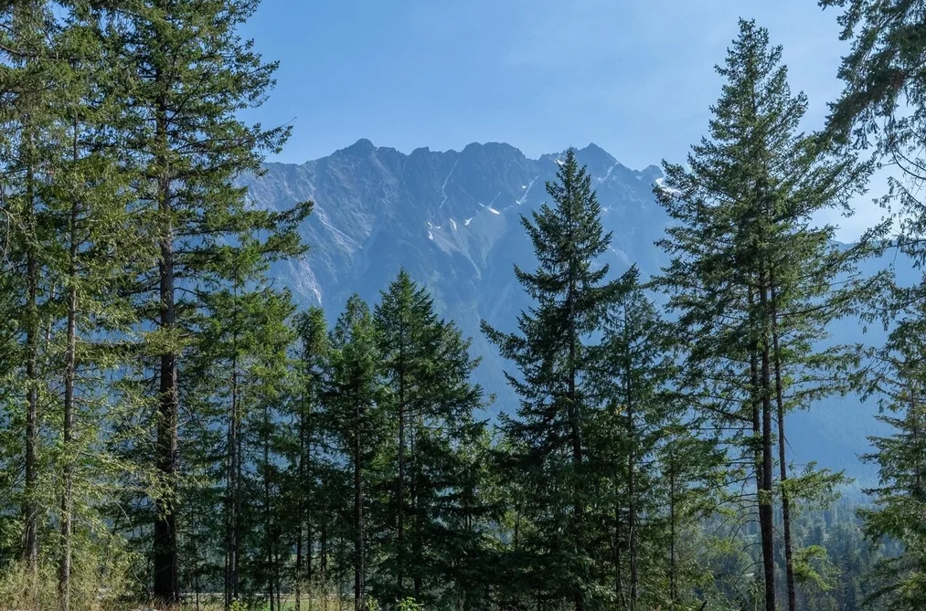 Property for sale at 8206 Merlot Peak Drive Pemberton British Columbia - MLS: R3132305