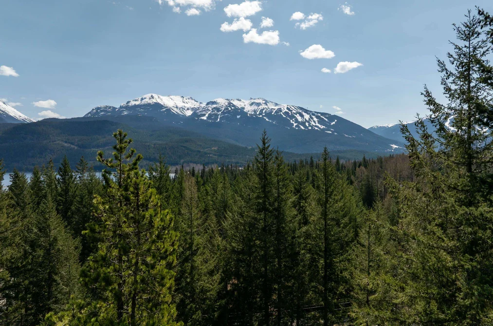 8214 MOUNTAIN VIEW DRIVE, Whistler BC V8E 0G3, Whistler BC — Land for Sale - Photo 6