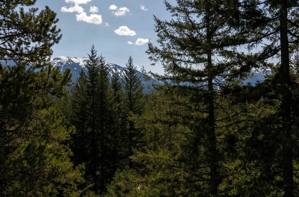 8214 MOUNTAIN VIEW DRIVE, Whistler BC V8E 0G3, Whistler BC — Land for Sale - Photo 7