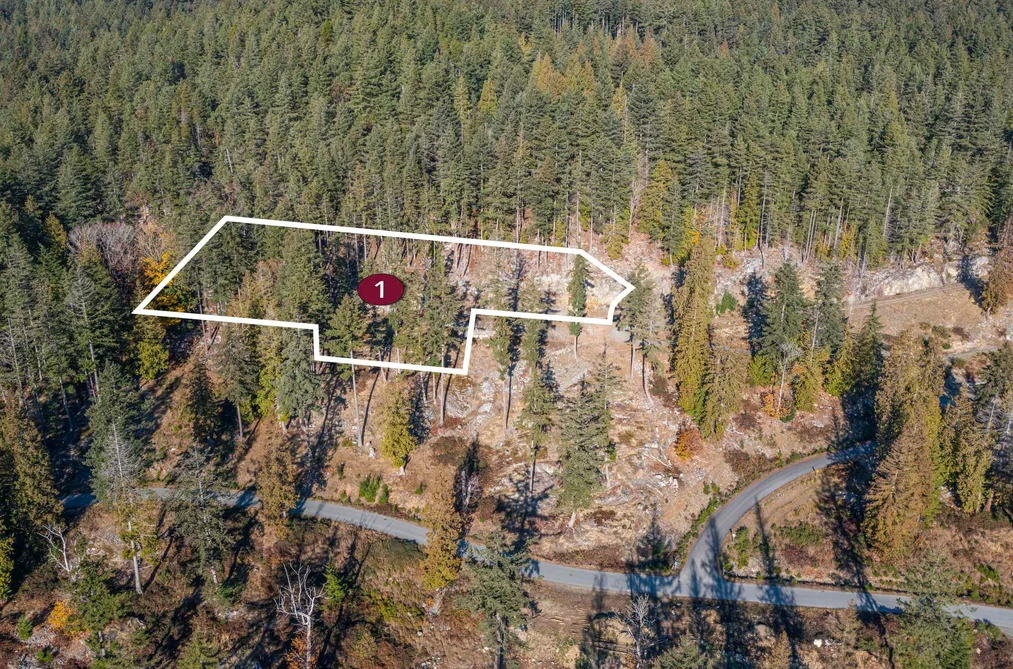 822 MCINTOSH LANE, Bowen Island BC V0N 1G2, Bowen Island BC — Land for Sale - Photo 3