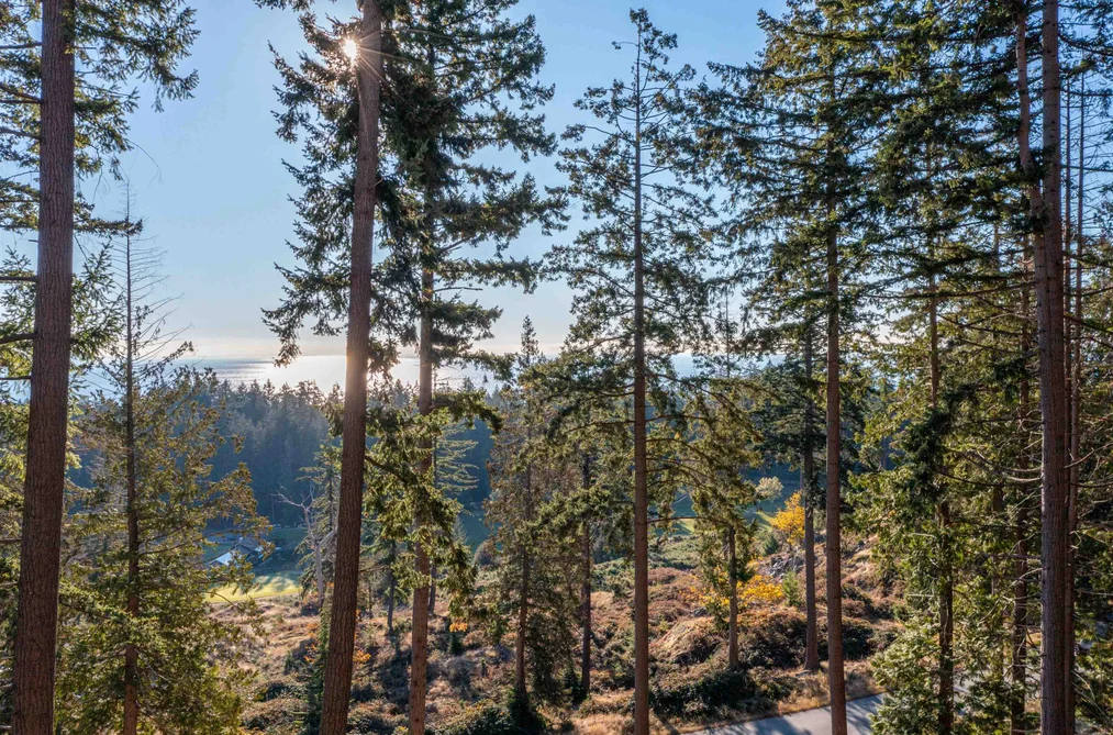 822 MCINTOSH LANE, Bowen Island BC V0N 1G2, Bowen Island BC — Land for Sale - Photo 6