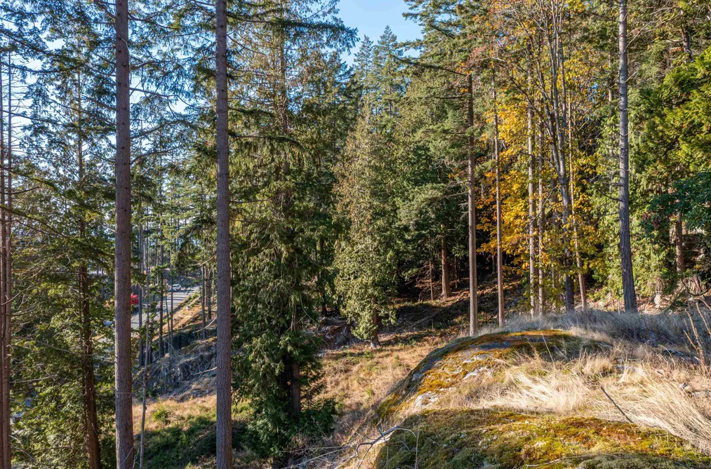 822 MCINTOSH LANE, Bowen Island BC V0N 1G2, Bowen Island BC — Land for Sale - Photo 7