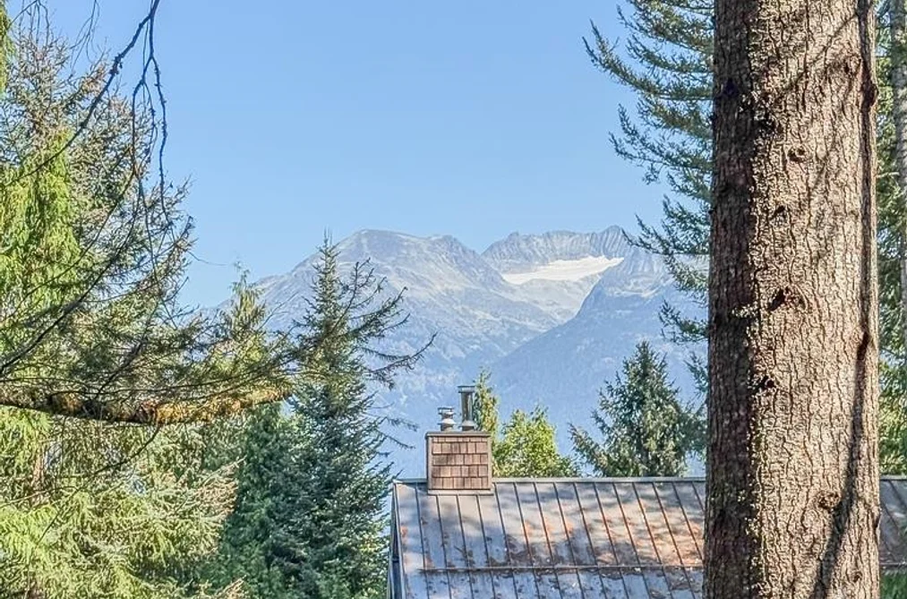 8232 ALPINE WAY, Whistler BC V8E 0G2, Whistler BC — Residential for Sale - Photo 2