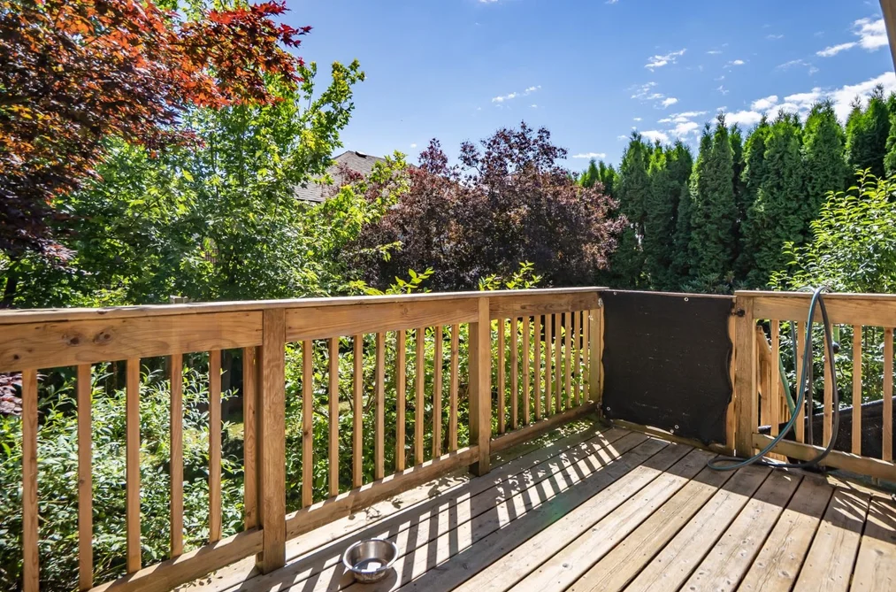 8232 PEACOCK STREET, Mission, BC — Residential for Sale — Photo 31 of 39