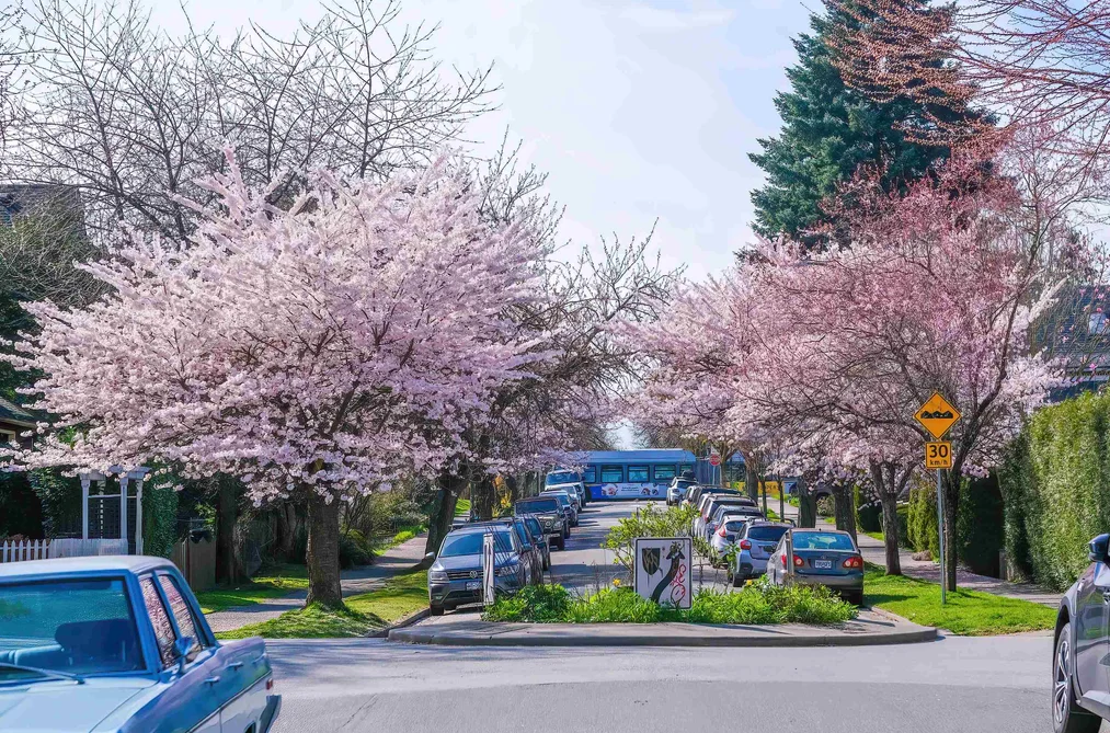 826 E 13TH AVENUE, Vancouver BC V5T 2L5, Vancouver BC — Residential for Sale - Photo 3