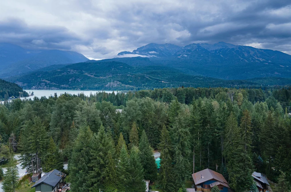 8270 MOUNTAIN VIEW DRIVE, Whistler BC V8E 0G3, Whistler BC — Land for Sale - Photo 4