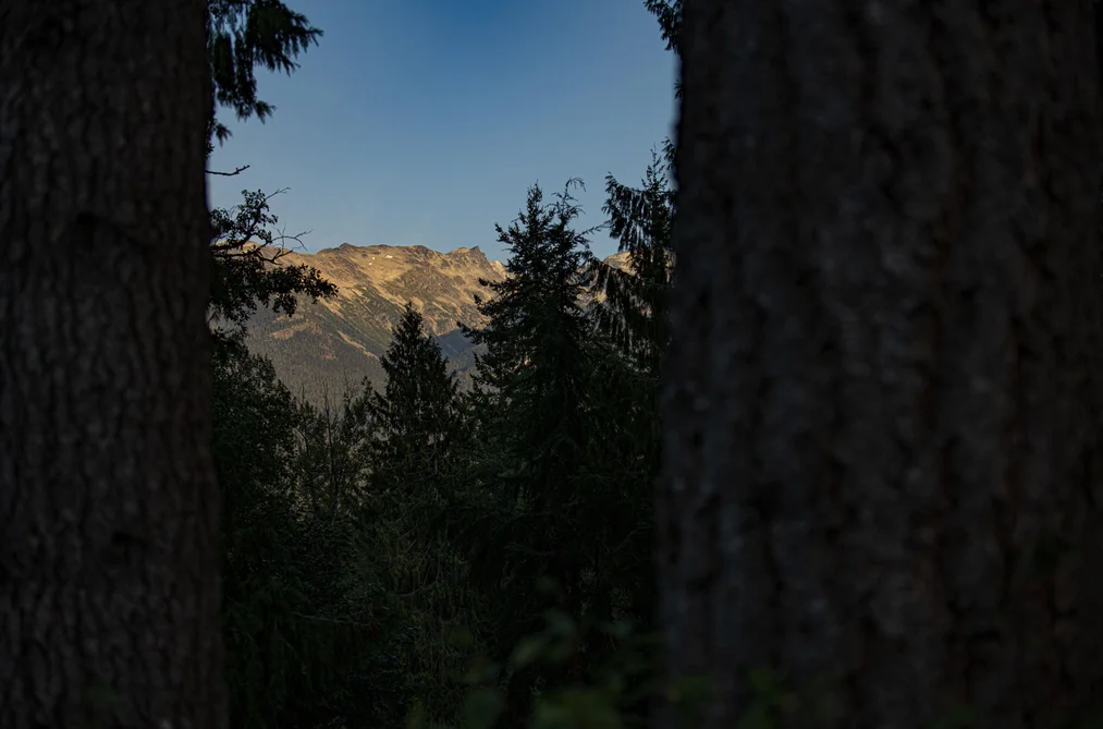 8270 MOUNTAIN VIEW DRIVE, Whistler BC V8E 0G3, Whistler BC — Land for Sale - Photo 5