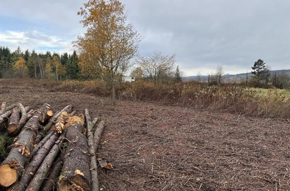8295 264 STREET, Langley BC V1M 3M2, Langley BC — Land for Sale - Photo 5