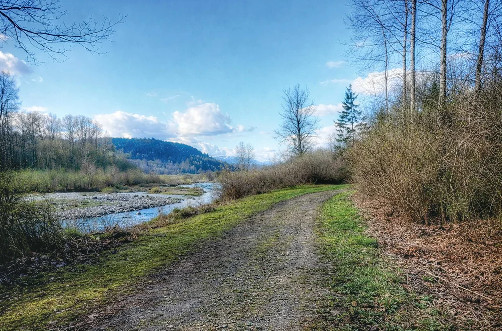 83 14550 MORRIS VALLEY ROAD, Harrison Mills BC V0M 1A1, Harrison Mills BC — Land for Sale - Photo 6