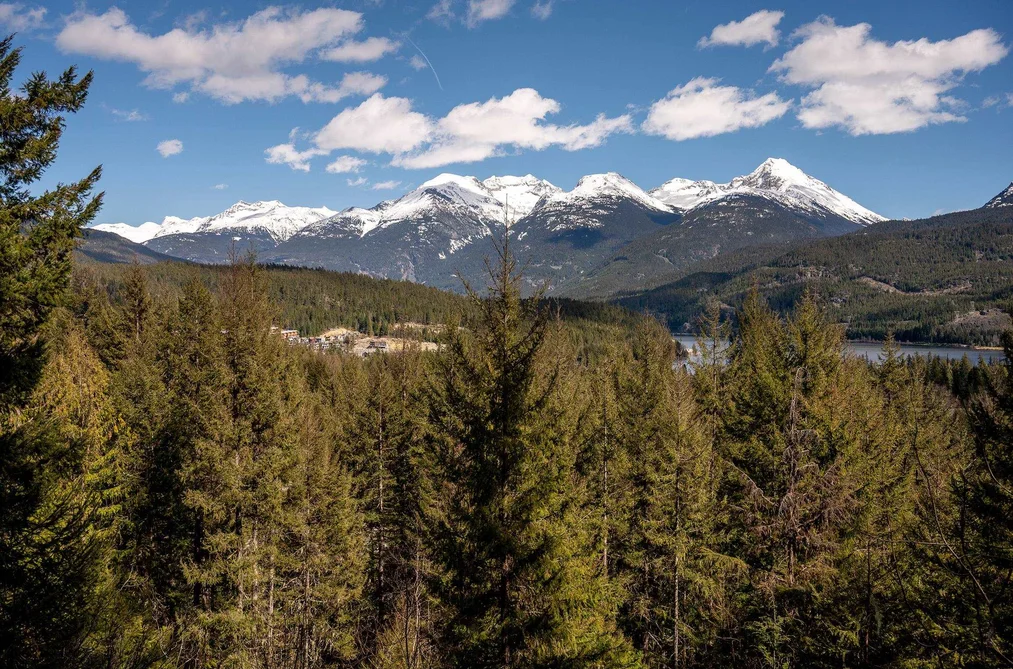 8365 MOUNTAIN VIEW DRIVE, Whistler BC V8E 0G3, Whistler BC — Land for Sale - Photo 2