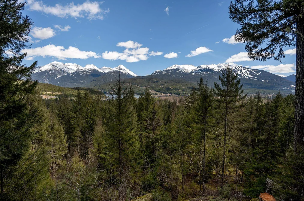 8365 MOUNTAIN VIEW DRIVE, Whistler BC V8E 0G3, Whistler BC — Land for Sale - Photo 3