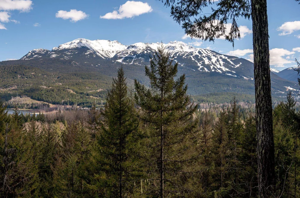 8365 MOUNTAIN VIEW DRIVE, Whistler BC V8E 0G3, Whistler BC — Land for Sale - Photo 4
