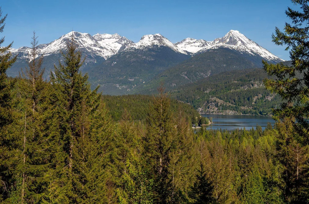 8377 MOUNTAIN VIEW DRIVE, Whistler BC V8E 0G3, Whistler BC — Land for Sale - Photo 2