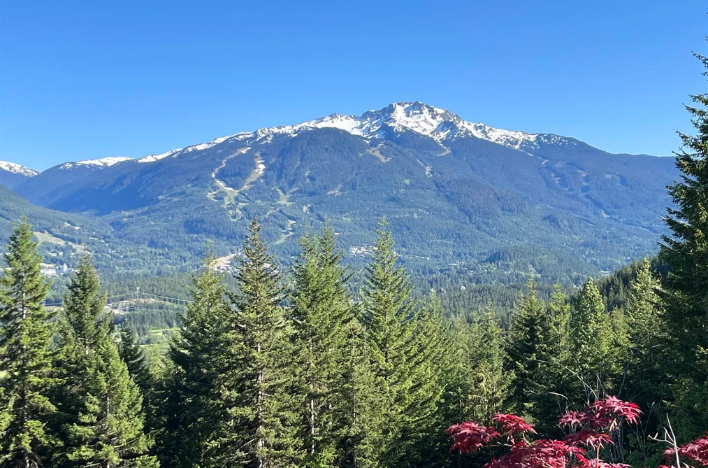 8384 Mountain View Dr, Whistler, BC - MLS: R3178088