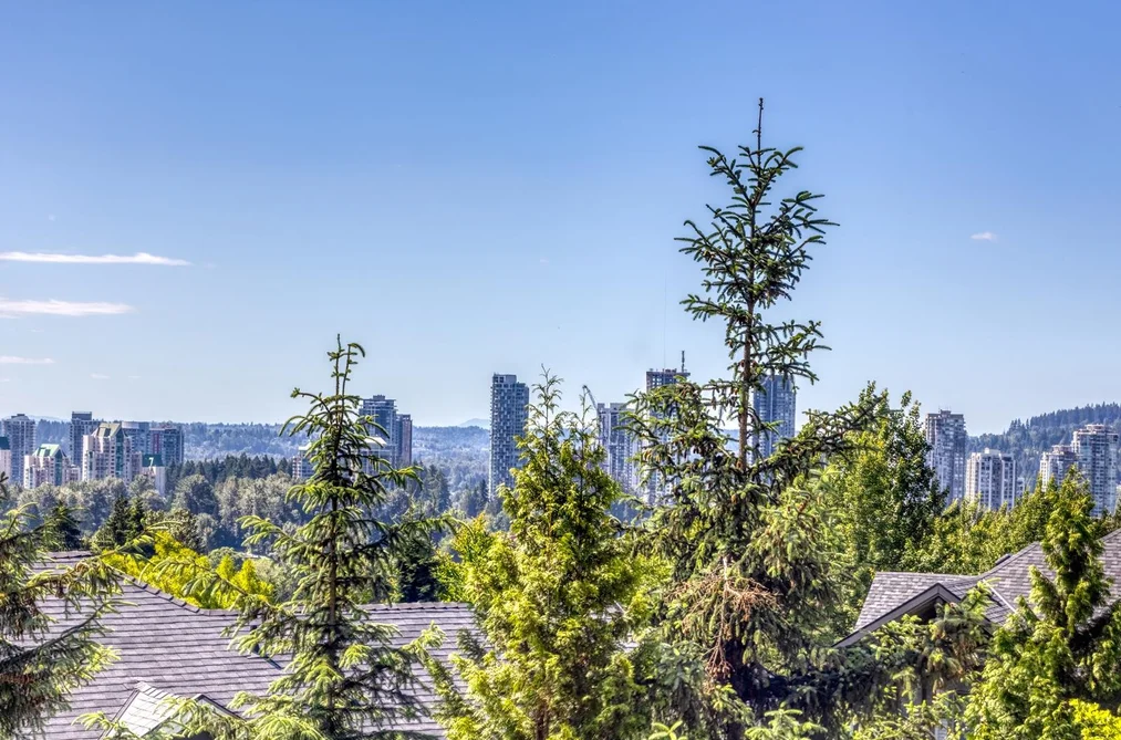 84 1380 PINETREE WAY, Coquitlam BC V3E 3S6, Coquitlam BC — Residential for Sale — Photo 32 of 40