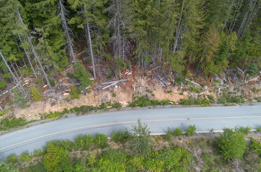 8566 ASHLEIGH MCIVOR DRIVE, Whistler BC V8E 1L9, Whistler BC — Land for Sale - Photo 3