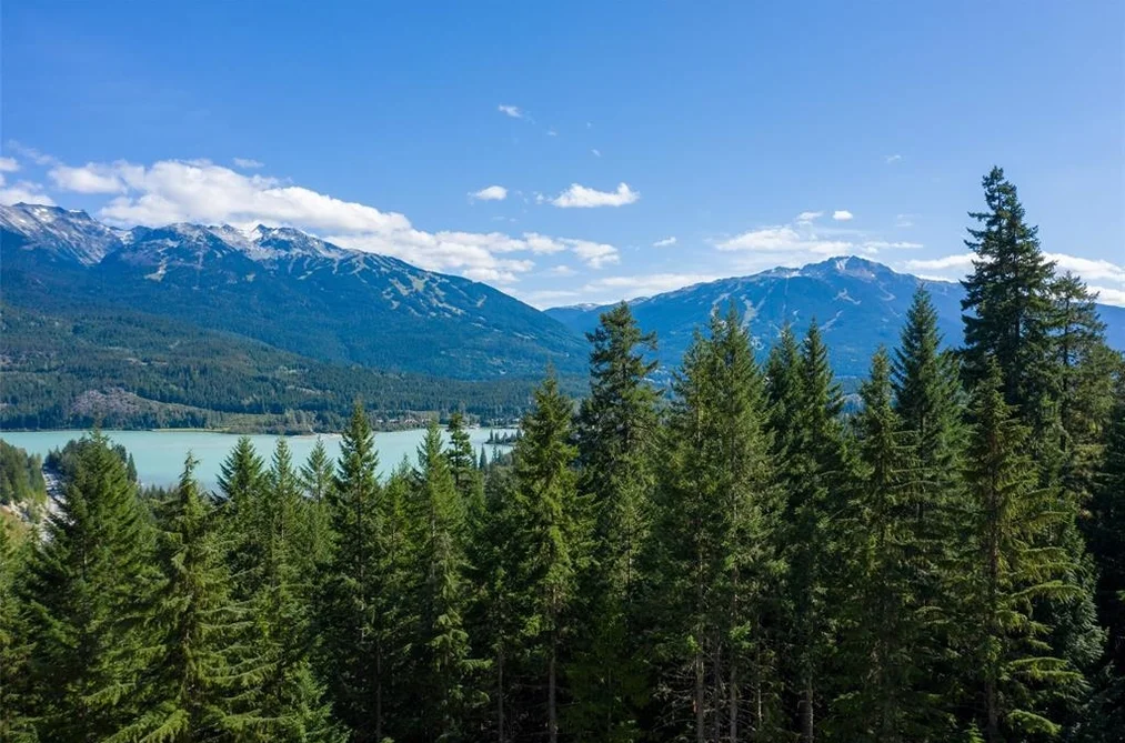 8570 ASHLEIGH MCIVOR DRIVE, Whistler BC V8E 1L9, Whistler BC — Land for Sale - Photo 7