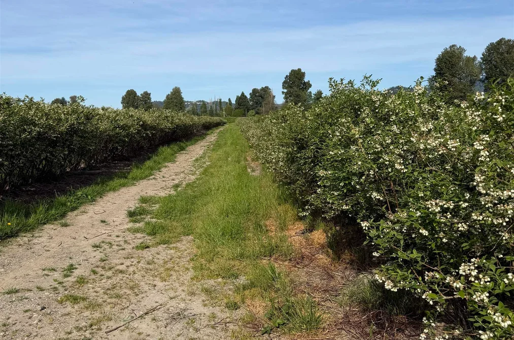 8573 S RIVER ROAD, Mission BC V0M 1H0, Mission BC — Land for Sale - Photo 2