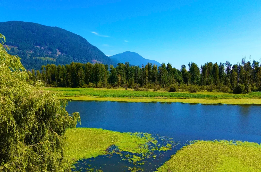 House for sale at 8586 Shook Road Mission British Columbia - MLS: R3158713