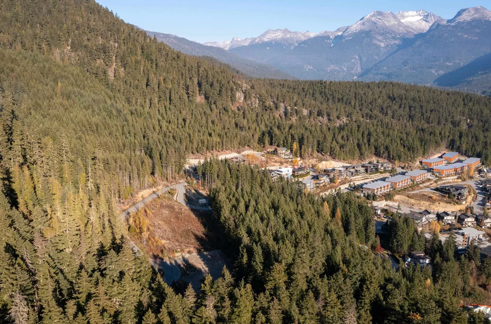 8594 ASHLEIGH MCIVOR DRIVE, Whistler BC V8E 1L9, Whistler BC — Land for Sale - Photo 4