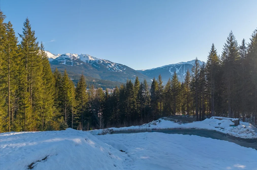 8611 MAELLE RICKER LANE, Whistler BC V8E 1L9, Whistler BC — Land for Sale - Photo 3