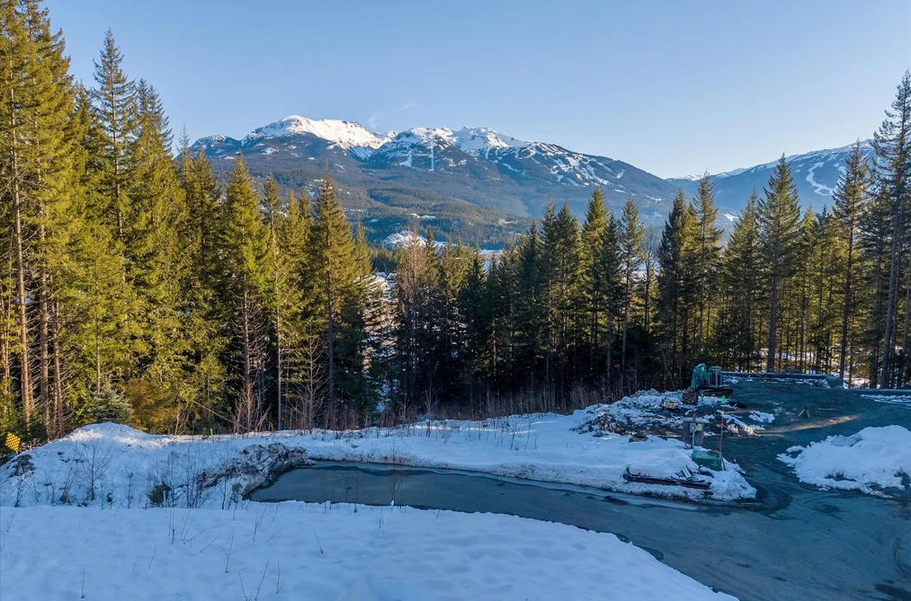 8611 MAELLE RICKER LANE, Whistler BC V8E 1L9, Whistler BC — Land for Sale - Photo 4