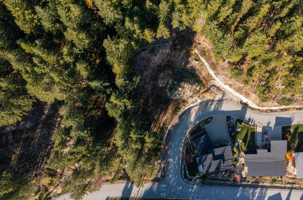 8622 MAELLE RICKER LANE, Whistler BC V8E 1L9, Whistler BC — Land for Sale - Photo 6