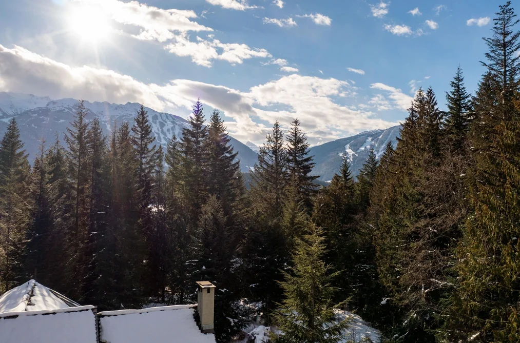 8648 LAKEWOOD COURT, Whistler BC V8E 0G1, Whistler BC — Land for Sale - Photo 3