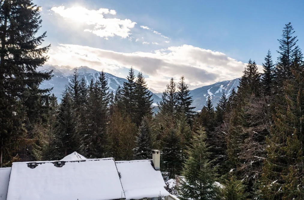 8648 LAKEWOOD COURT, Whistler BC V8E 0G1, Whistler BC — Land for Sale - Photo 4