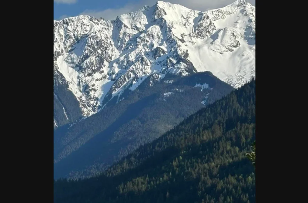 8687 PEMBERTON MEADOWS, Pemberton BC V0N 2L2, Pemberton BC — Residential for Sale - Photo 4