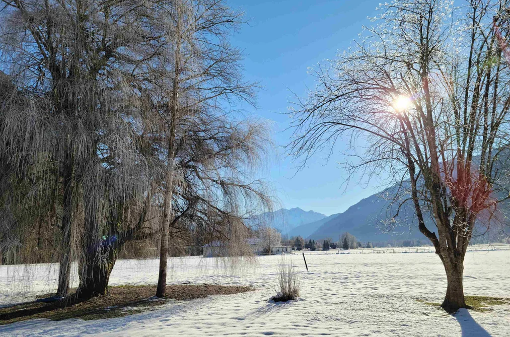8687 PEMBERTON MEADOWS, Pemberton BC V0N 2L2, Pemberton BC — Residential for Sale - Photo 5