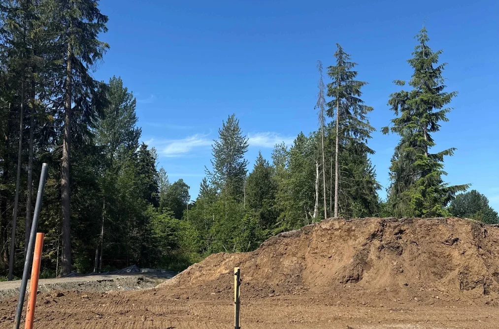8729 SLACK STREET, Mission BC V2V 6X9, Mission BC — Land for Sale - Photo 3